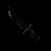 Coal